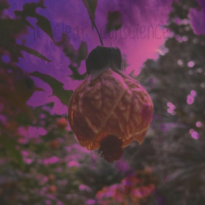 A Clear Conscience - Single