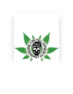 Dengarkan Cartel Gangsta Camaragibe, tonton video musik, baca bio, lihat tanggal tur & lainnya!