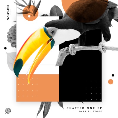 Chapter One - Single