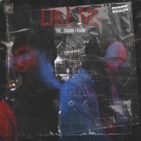 Like Me - Single - TBL & DAMIR FRANK