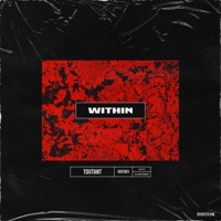 Toutant - Within