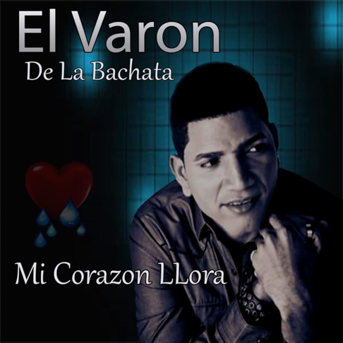 El Sentir De La Bachata: albums, songs, playlists