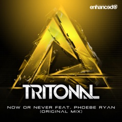 Now or Never (Radio Edit) [feat. Phoebe Ryan] - Single