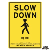 Slow Down (feat. Troy, Pyy Ldk, Stevla, Lesmahlanyeng, Mapentane, Boss KB, Drey & Chillibite) - Single - DJ DD