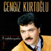 Bizim Şarkımız - Cengiz Kurtoğlu