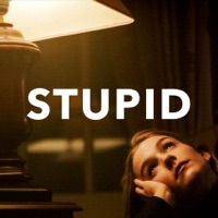 Album cover for Stupid (feat. Pommelien Thijs) - Single by 27 On The Road