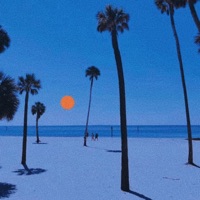 Road to Moalboal (feat. Iva Cross) - Single - Charzrd