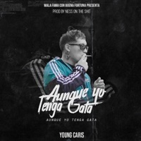 Aunque yo tenga gata - Single - Young Caris