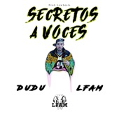 Secretos a Voces artwork