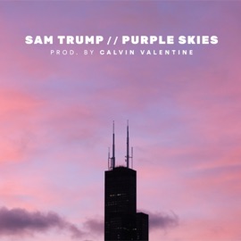 Brother (feat. Add-2) Sam Trump