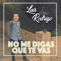 No me digas que te vas - Single - Luis Rodrigo