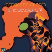 The Sessions V (Live at Dekmantel Festival, Amsterdam + Betonwerk, Berlin) artwork