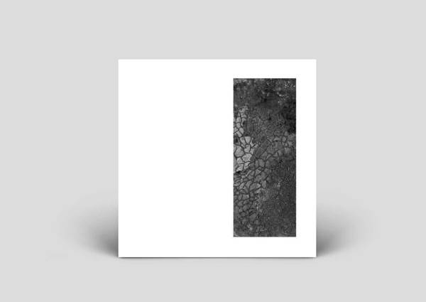 Shedding Bark - EP