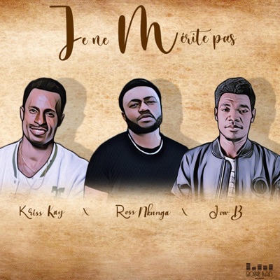 Je ne mérite pas (feat. Jow B & Kriss Kay) - Single