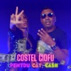 Pentru Cat Cash - Single