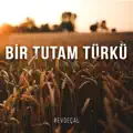 Bir Fırtına Tuttu Bizi