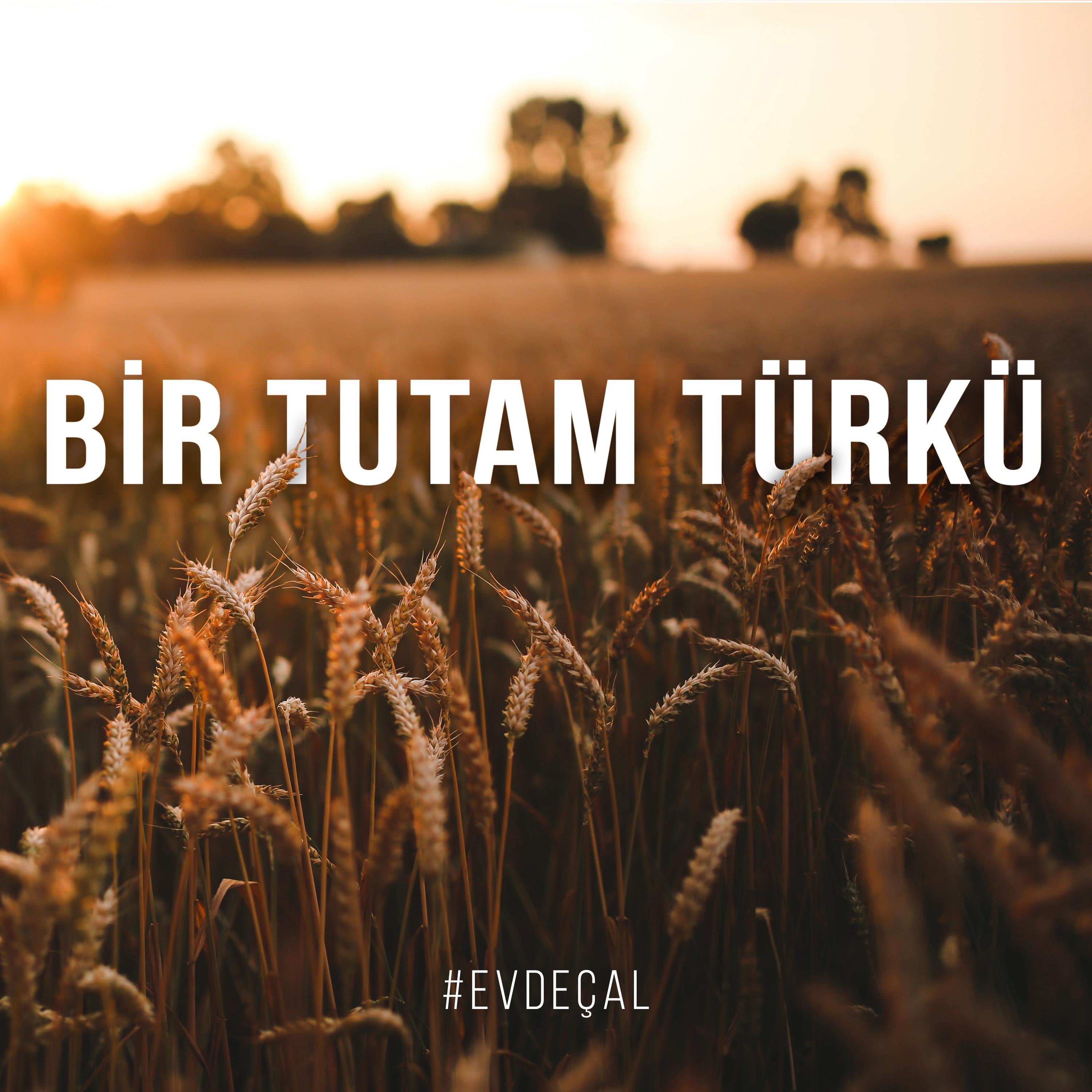 Bir Tutam Türkü (Akustik)