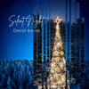 Silent Night - David Bauer