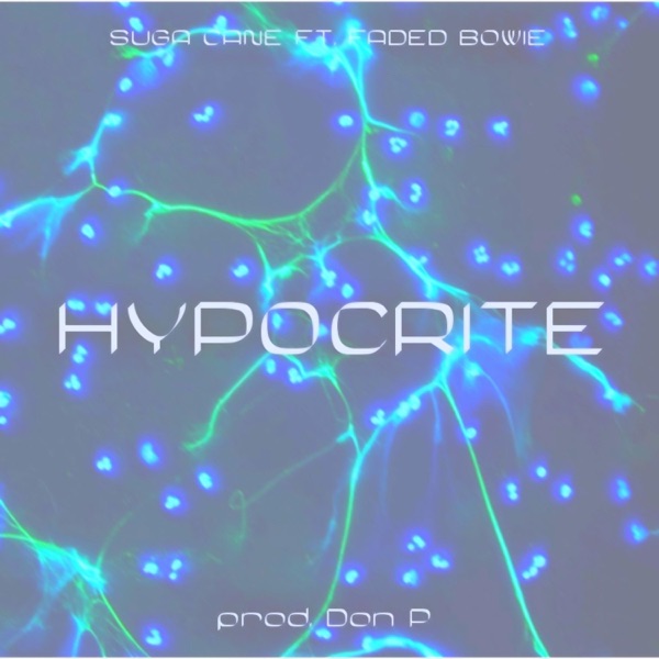 Hypocrite (feat. Bowie)