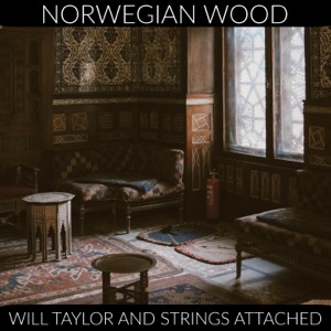 Norwegian Wood (feat. Karen Mal)