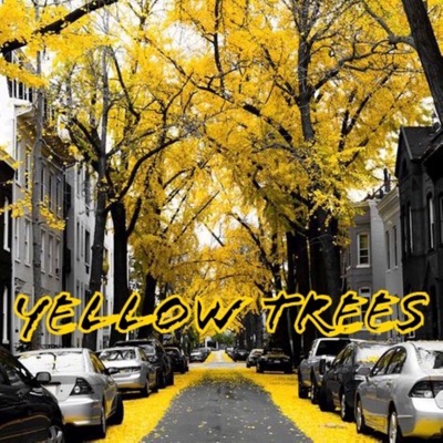 Yellow Trees