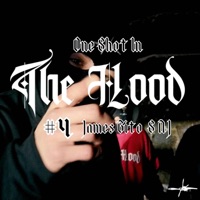 4. One Shot In The Hood - Single - THE HOOD