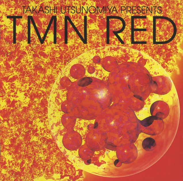 TMネットワーク バンドスコア「TMN / RHYTHM RED」 ヤマハ