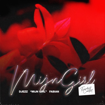 Mijn Girl (feat. Fabian) - Single