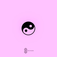 Nothing in Common - Single - Big Husk