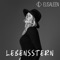 Lebensstern - ElisaLeen lyrics