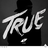 True (Bonus Edition) artwork