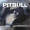 Pitbull - Vida 23 (feat. Nayer)
