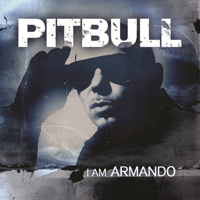 Echa pa'lla (Manos Pa'rriba) - Pitbull Cover Art