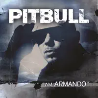Vida 23 (feat. Nayer) — Pitbull
