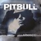 Maldito Alcohol (Pitbull vs. Afrojack) - Pitbull & AFROJACK lyrics