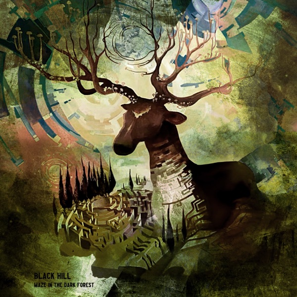 Maze In the Dark Forest
