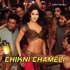 Chikni Chameli - Single