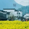 毕程漉 - 笑忘书