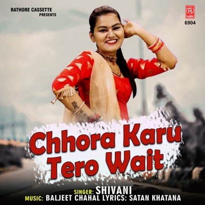Chhora Karu Tero Wait - Single