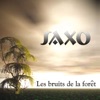 Saxo - Les bruits de la forêt (Main Mix)