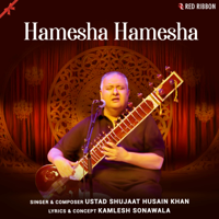 Ustad Shujaat Husain Khan - Hamesha Hamesha - Single artwork