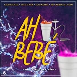 Ah Bebe (feat. Wilo D New, Altuwakerl & Mr. Cabrera El Domi) RaudyOficial