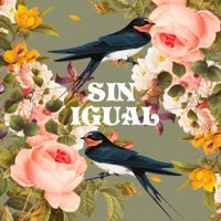 Sin igual - Single - Valdi