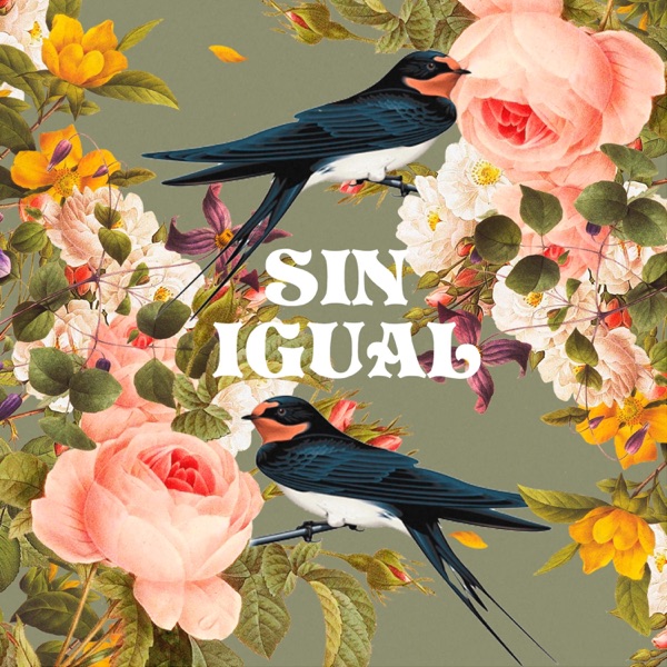 Sin igual