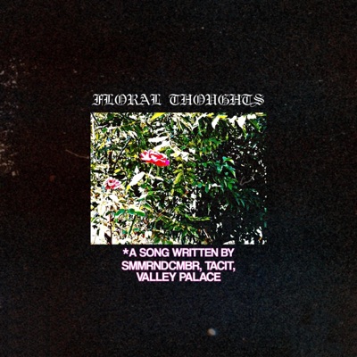 Floral Thoughts (feat. TACIT & Valley Palace) - Single