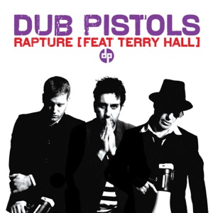 Rapture (feat. Terry Hall)