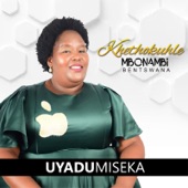 Uyadumiseka artwork