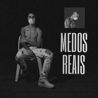 Medos Reais - Single - Vani