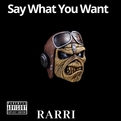 Say What You Want (feat. Hype) - Single