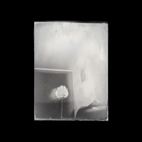 The Very Difficulty of It Is Why You Must - Single - Arms and Sleepers